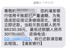 北辰北辰的要账公司在催收过程中的策略和技巧有哪些？